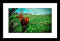 Crescent Portrait - Framed Print