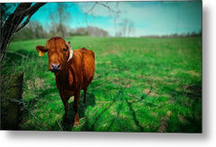 Crescent Portrait - Metal Print