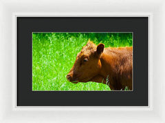 Devon - Framed Print