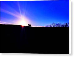 Devon Sunset - Canvas Print