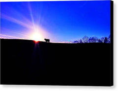 Devon Sunset - Canvas Print