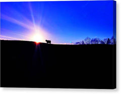 Devon Sunset - Canvas Print