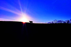Devon Sunset - Art Print