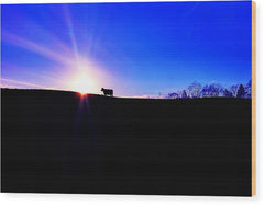 Devon Sunset - Wood Print