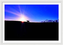 Devon Sunset - Framed Print