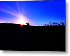 Devon Sunset - Metal Print