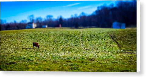 Devon Tilt - Canvas Print
