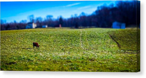 Devon Tilt - Canvas Print