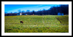 Devon Tilt - Framed Print