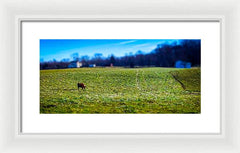 Devon Tilt - Framed Print