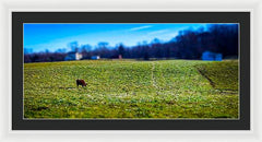 Devon Tilt - Framed Print