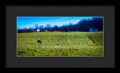 Devon Tilt - Framed Print