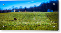 Devon Tilt - Acrylic Print