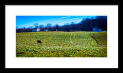 Devon Tilt - Framed Print