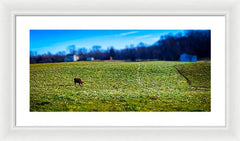 Devon Tilt - Framed Print