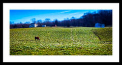 Devon Tilt - Framed Print