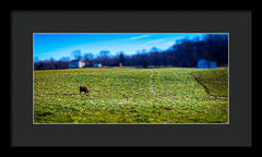 Devon Tilt - Framed Print