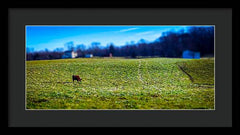Devon Tilt - Framed Print