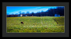 Devon Tilt - Framed Print