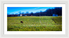 Devon Tilt - Framed Print