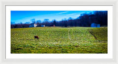 Devon Tilt - Framed Print