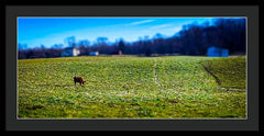Devon Tilt - Framed Print