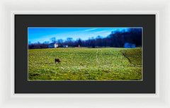 Devon Tilt - Framed Print