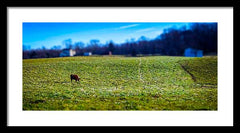 Devon Tilt - Framed Print