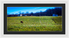 Devon Tilt - Framed Print