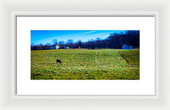 Devon Tilt - Framed Print