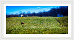 Devon Tilt - Framed Print