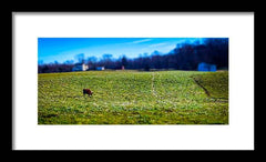Devon Tilt - Framed Print