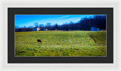 Devon Tilt - Framed Print