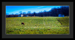Devon Tilt - Framed Print