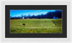 Devon Tilt - Framed Print