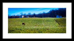 Devon Tilt - Framed Print