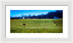 Devon Tilt - Framed Print