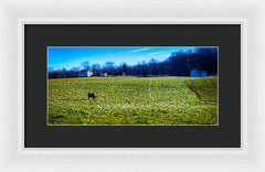 Devon Tilt - Framed Print