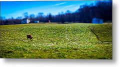 Devon Tilt - Metal Print
