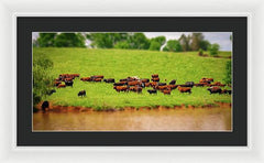 Water Gathering - Framed Print