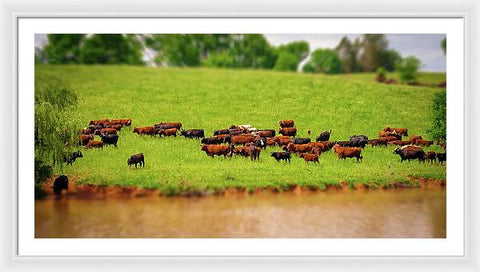 Water Gathering - Framed Print