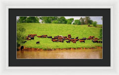 Water Gathering - Framed Print
