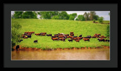 Water Gathering - Framed Print