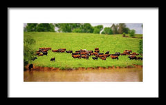 Water Gathering - Framed Print