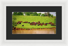Water Gathering - Framed Print