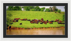 Water Gathering - Framed Print