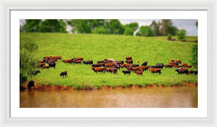 Water Gathering - Framed Print
