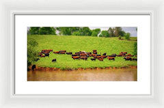 Water Gathering - Framed Print