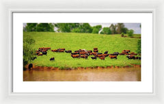 Water Gathering - Framed Print