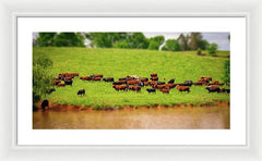 Water Gathering - Framed Print